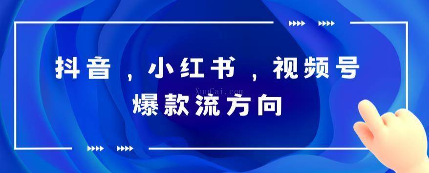 抖音,小红书,视频号爆款流视频制作,简单制作掌握流量密码-续财库